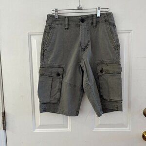 American Eagle Men's Dark Gray Lived-In Cargo Summer Coachella Shorts Sz 26